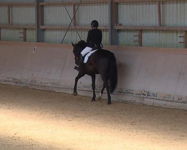 Reitturnier Bad Windsheim/Mfr. 2023