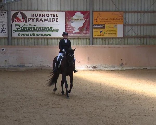 Reitturnier Bad Windsheim/Mfr. 2023