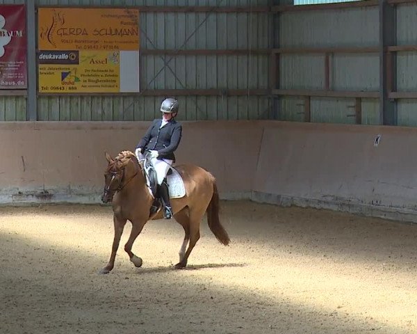 Reitturnier Bad Windsheim/Mfr. 2023