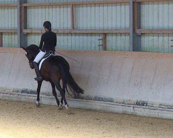 Reitturnier Bad Windsheim/Mfr. 2023