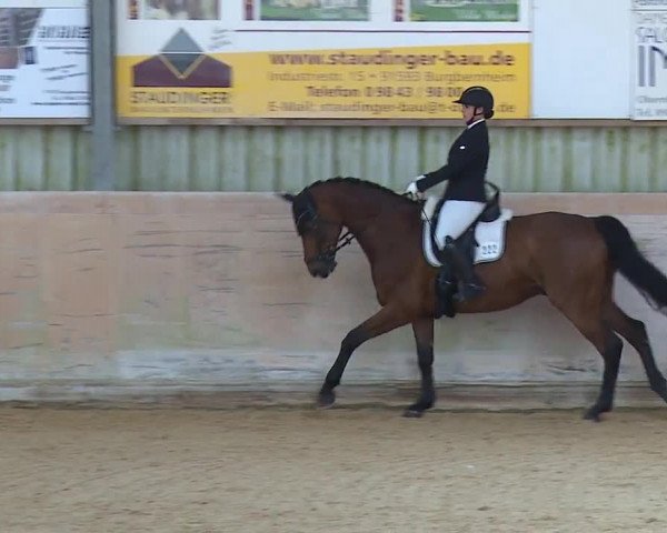Reitturnier Bad Windsheim/Mfr. 2023