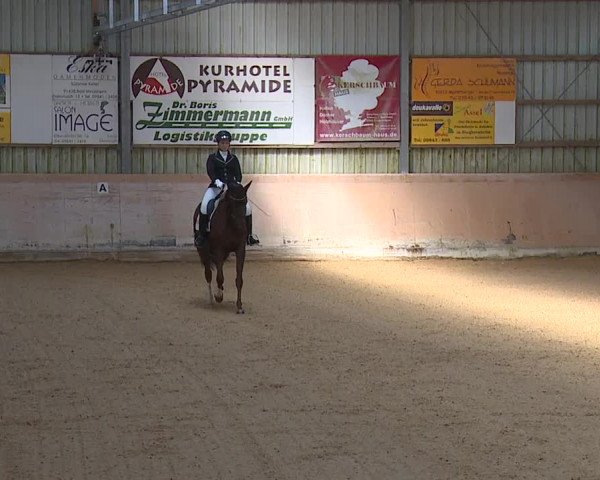 Reitturnier Bad Windsheim/Mfr. 2023