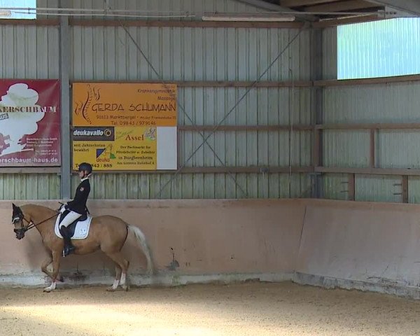 Reitturnier Bad Windsheim/Mfr. 2023