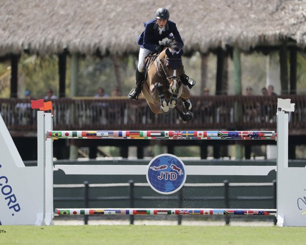 jumper Cristo (Oldenburg show jumper, 2007, from Cristo)