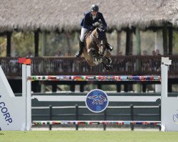 jumper Cristo (Oldenburg show jumper, 2007, from Cristo)