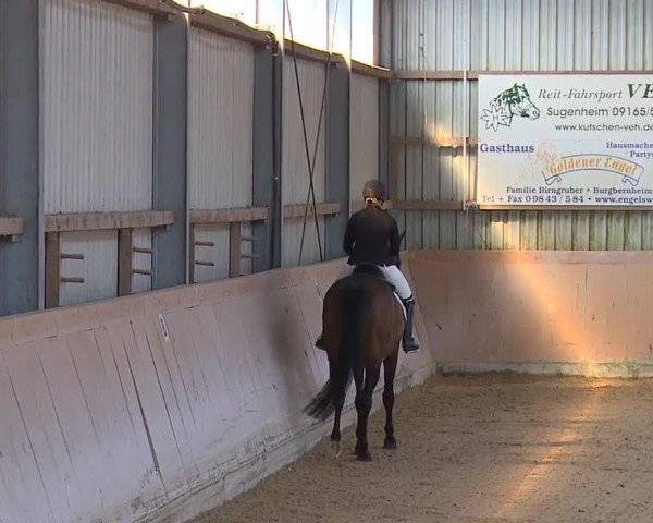 Reitturnier Bad Windsheim/Mfr. 2023