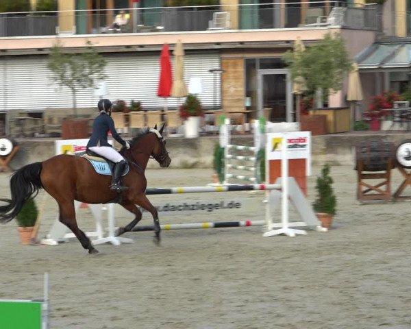 Erntedank Springturnier Nörten-Hardenberg 2021
