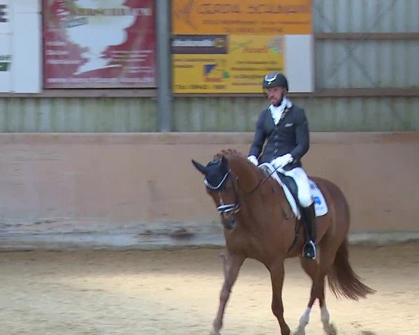 Reitturnier Bad Windsheim/Mfr. 2023