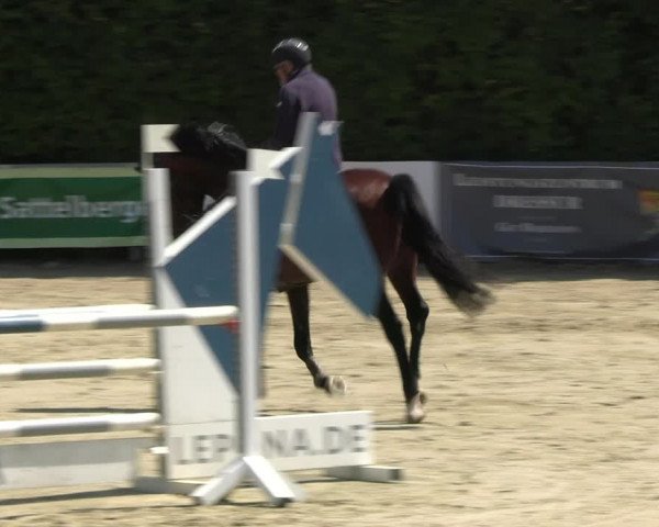 Reitturnier Fröndenberg 2023