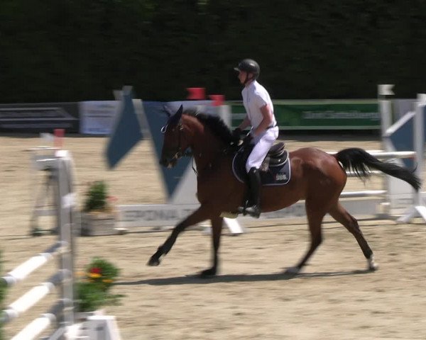 Reitturnier Fröndenberg 2023