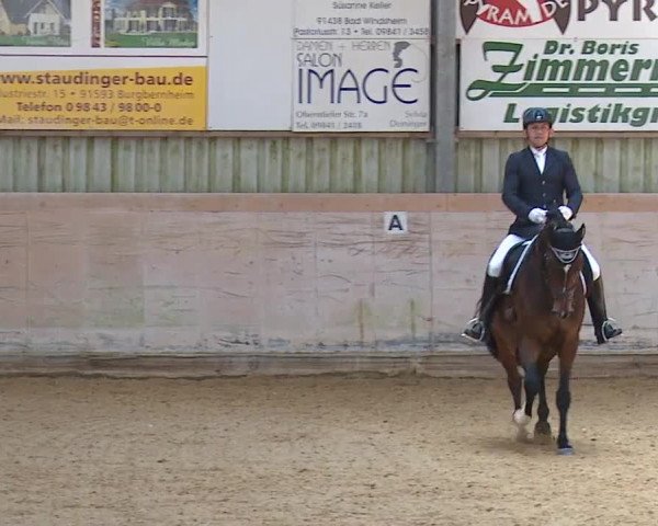 Reitturnier Bad Windsheim/Mfr. 2023