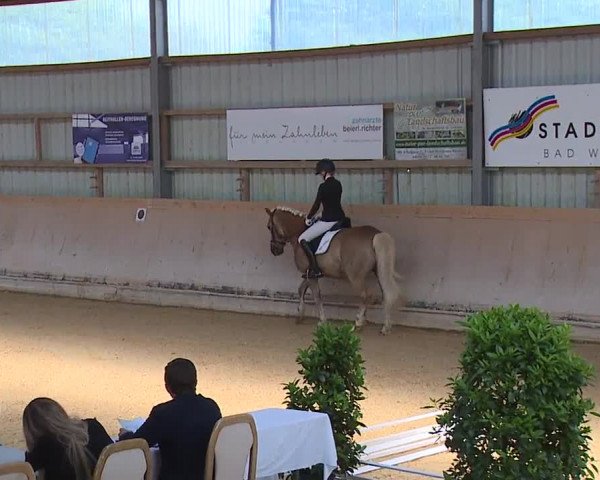 Reitturnier Bad Windsheim/Mfr. 2023