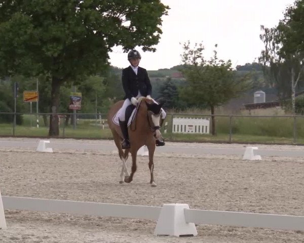 Reitturnier Rot am See- Musdorf 2023