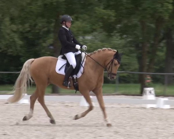 Reitturnier Rot am See- Musdorf 2023