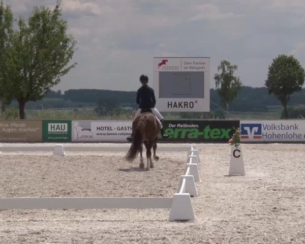 Reitturnier Rot am See- Musdorf 2023