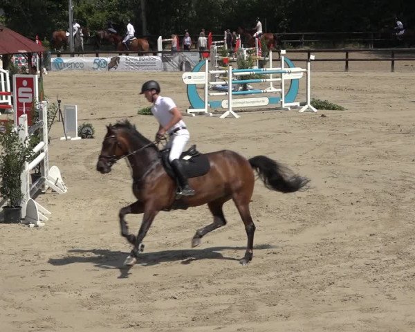 Reitturnier Ochtrup 2023