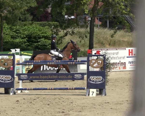 Reitturnier Ochtrup 2023