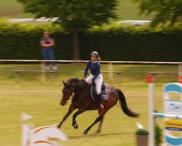 Reitturnier Wingerode 2023