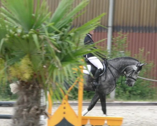 Reitturnier Handorf 2023