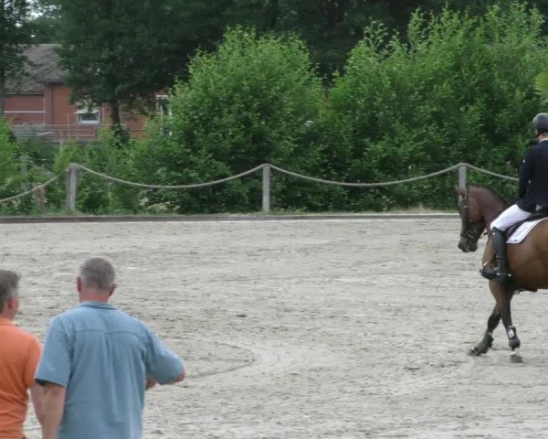 Reitturnier Handorf 2023