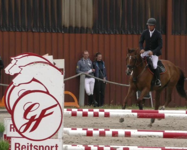 Reitturnier Handorf 2023