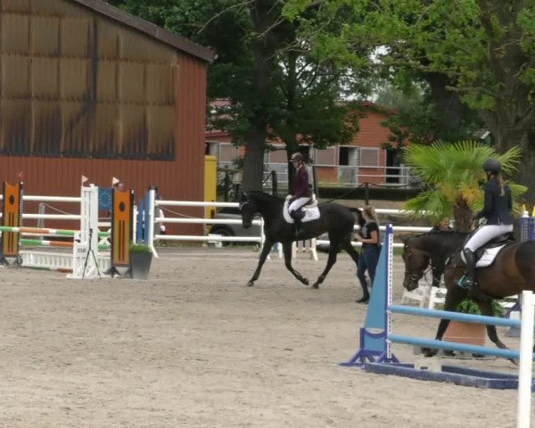 Reitturnier Handorf 2023