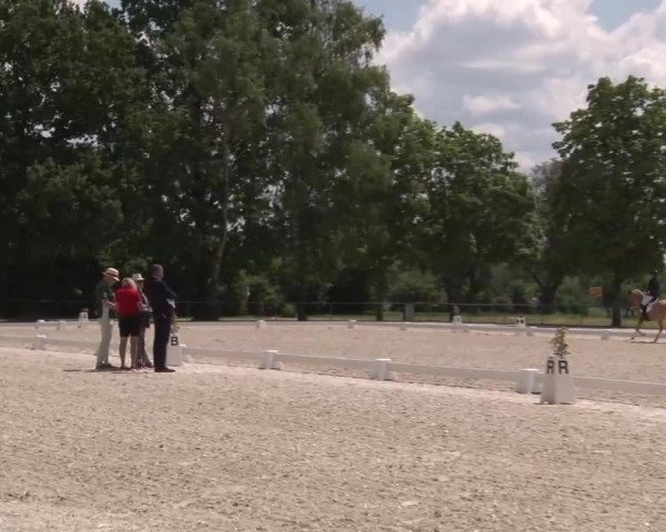 Reitturnier Rot am See- Musdorf 2023