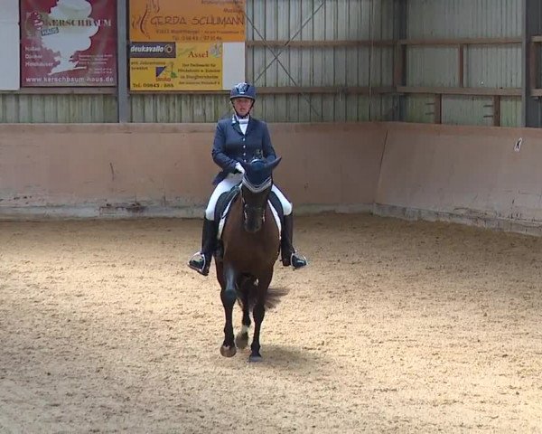 Reitturnier Bad Windsheim/Mfr. 2023