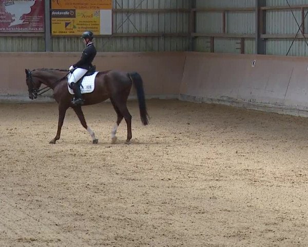 Reitturnier Bad Windsheim/Mfr. 2023