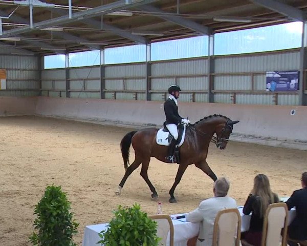 Reitturnier Bad Windsheim/Mfr. 2023