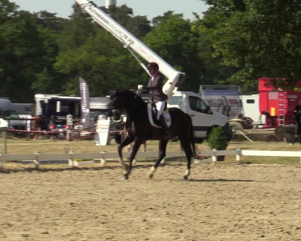 Reitturnier Coesfeld/Lette 2023