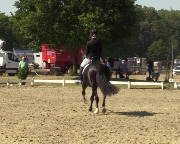 Reitturnier Coesfeld/Lette 2023