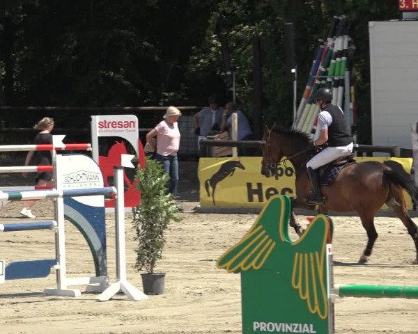 Reitturnier Ochtrup 2023