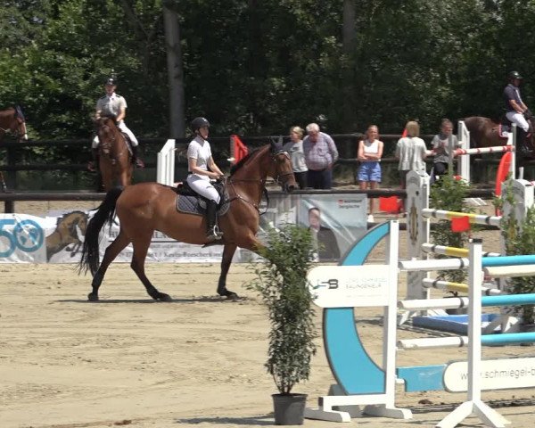 Reitturnier Ochtrup 2023