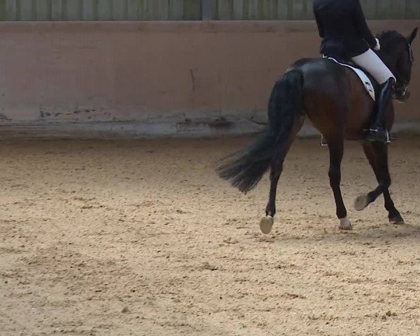 Reitturnier Bad Windsheim/Mfr. 2023