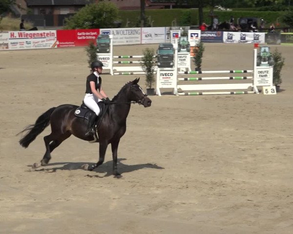 Reitturnier Ochtrup 2023