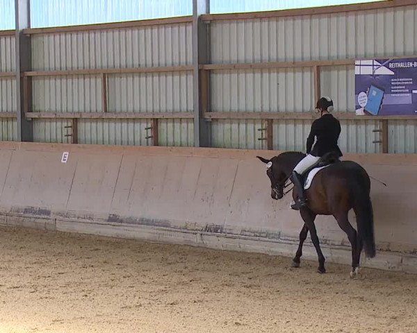 Reitturnier Bad Windsheim/Mfr. 2023