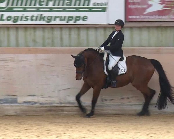 Reitturnier Bad Windsheim/Mfr. 2023