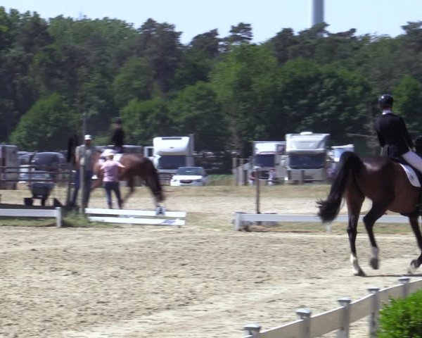 Reitturnier Coesfeld/Lette 2023