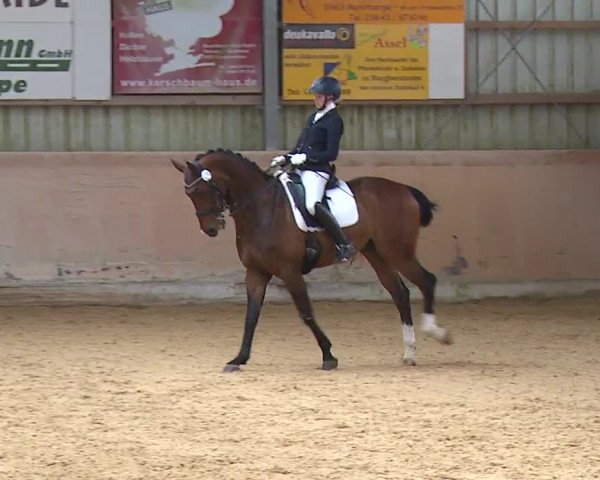 Reitturnier Bad Windsheim/Mfr. 2023