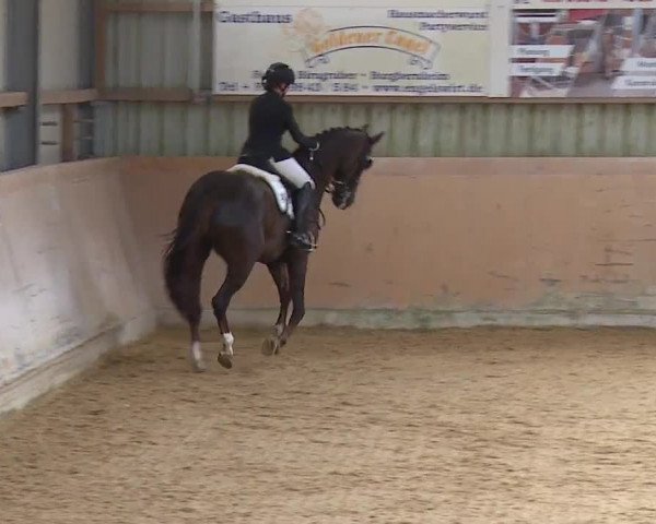 Reitturnier Bad Windsheim/Mfr. 2023