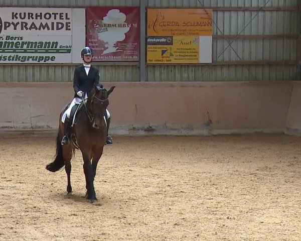 Reitturnier Bad Windsheim/Mfr. 2023