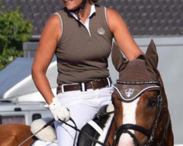Tessy Schiff-Herman