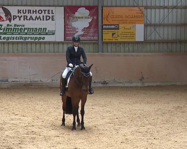 Reitturnier Bad Windsheim/Mfr. 2023