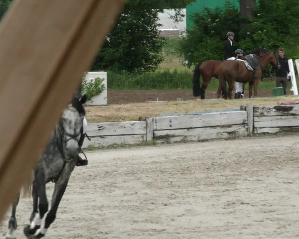 Reitturnier Handorf 2023