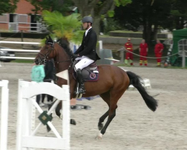 Reitturnier Handorf 2023