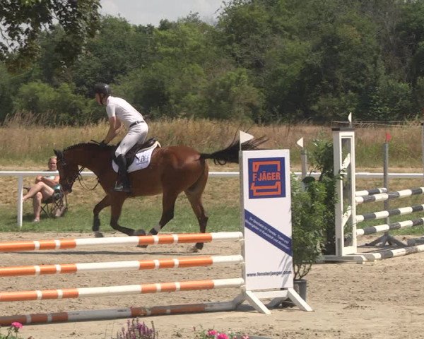 Reitturnier Biebesheim 2023