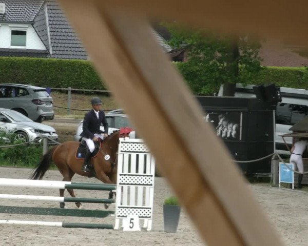 Reitturnier Handorf 2023