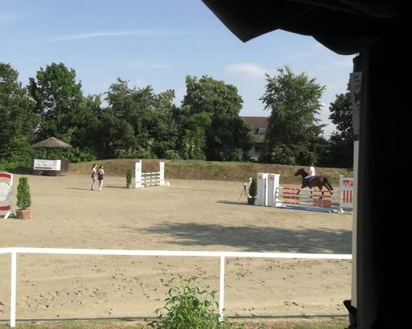 Reitturnier Fröndenberg 2023