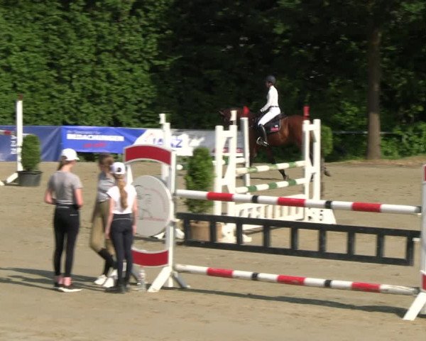 Reitturnier Fröndenberg 2023